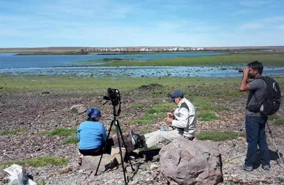 Puerto Deseado se suma al desafío.#trashtagchallenge