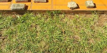 El pesaje arrojó 12 kilogramos, con un valor aproximado de $ 756 mil pesos\u002E