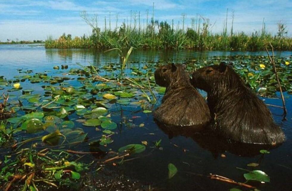 Jueves con el cielo cubierto pero sin lluvias
