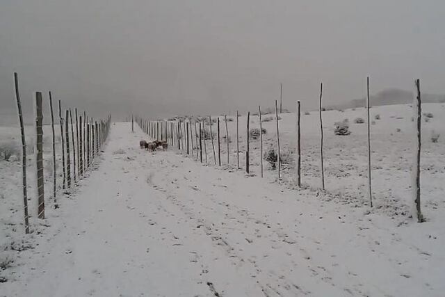 Pampa de la Viuda - La Rioja