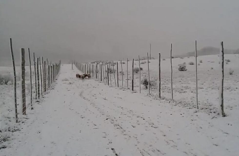 Llegó la nieve al interior de La Rioja y este año sin turistas