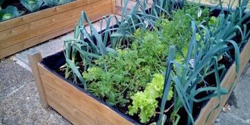 El evento tendrá lugar en Plataforma Lavardén\u002E (Archivo)