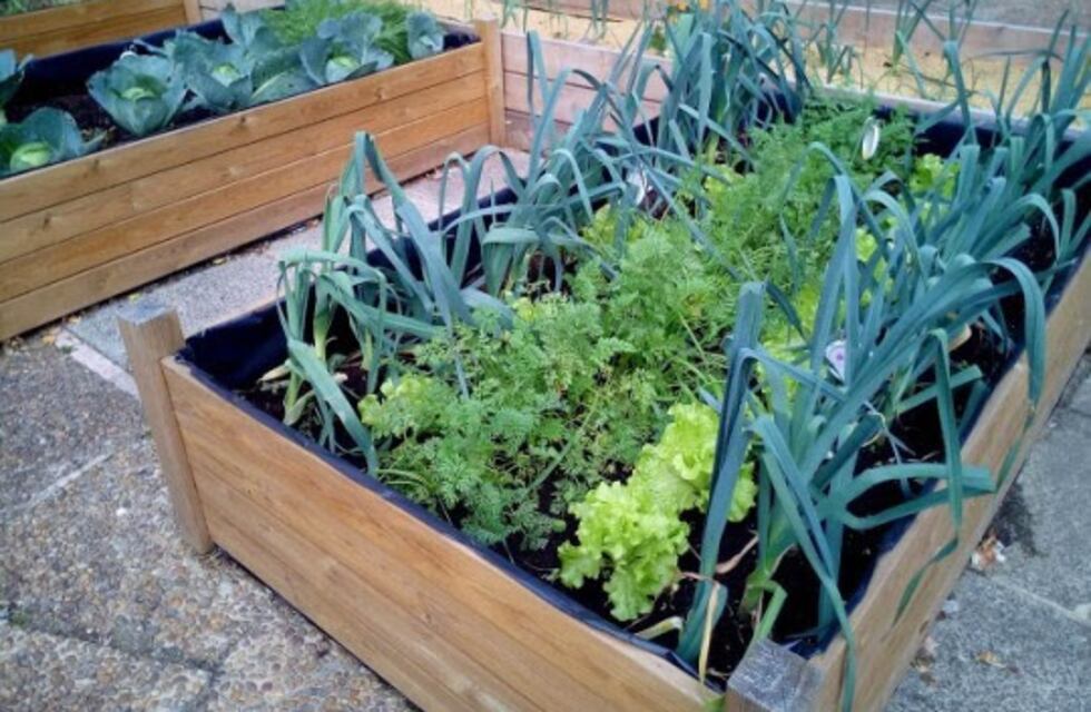 "La huerta en casa" vuelve a Plataforma Lavardén el próximo martes