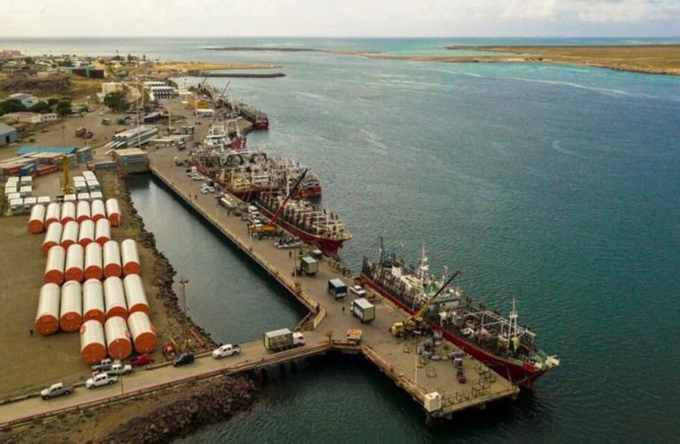 Temen por una temporada corta de calamar