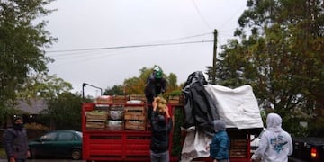 Productores campesinos donaron miles de kilos de verdura a barrios carenciados de Mar del Plata (Foto: Ahora Mar del Plata)