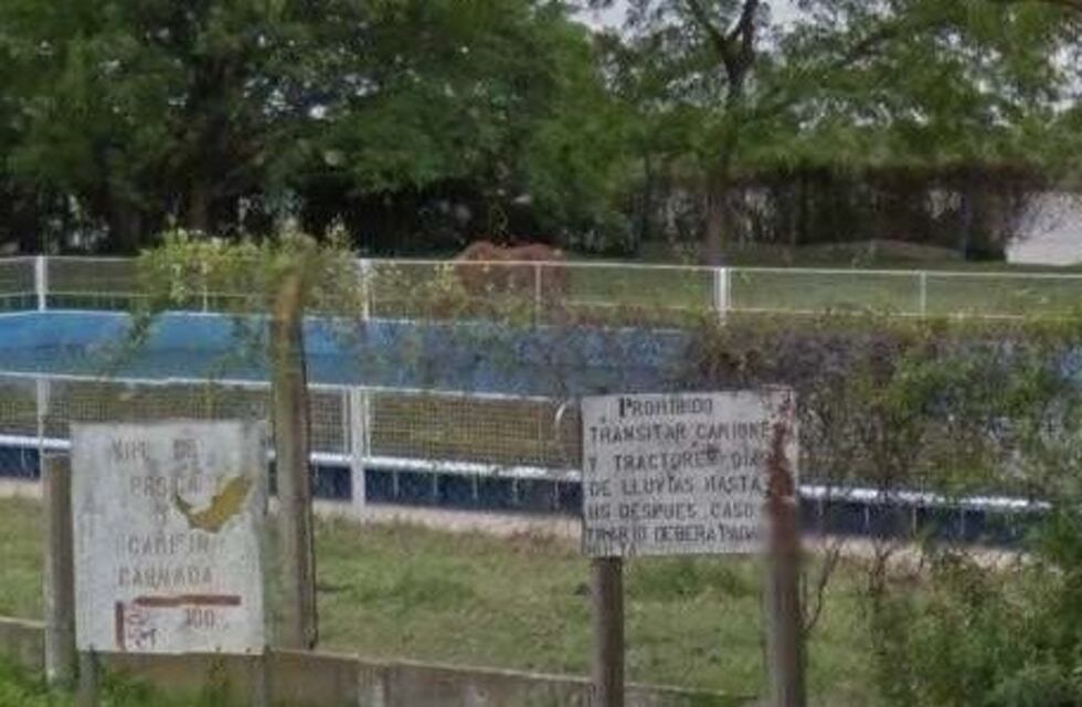 Macabro: hallaron un perro atado y ahogado en una pileta