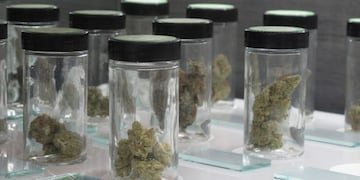 Uso medicinal de cannabis