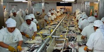 Se consolida industria de procesamiento de productos de mar