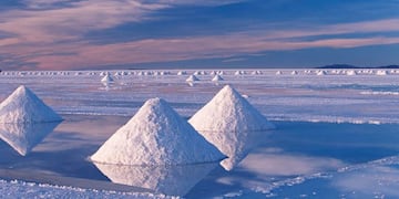 Proyecto Pozuelos - Pastos Grandes (web)