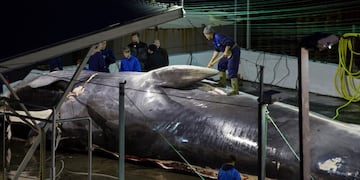 Bara Kristinsdottir / The New York Times