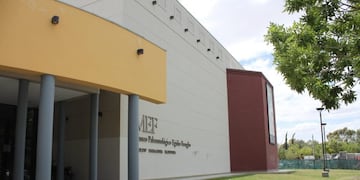 Los científicos del MEF son reconocidos a nivel mundial\u002E