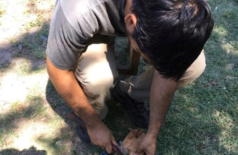 Trueques y ventas a beneficio de un centro cultural