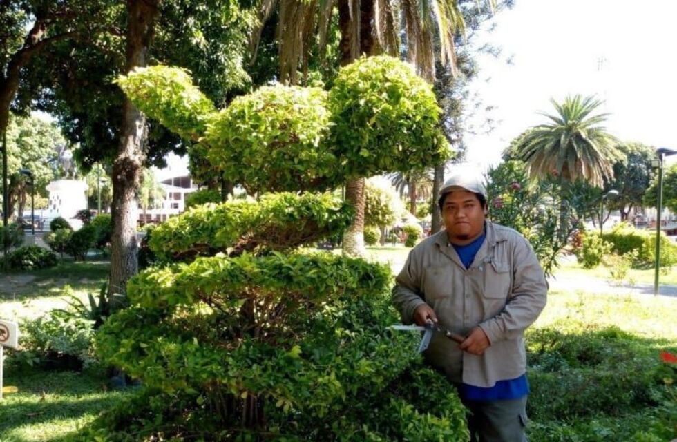 Con sus creaciones, un artista salteño le da vida a la plaza principal de Tartagal