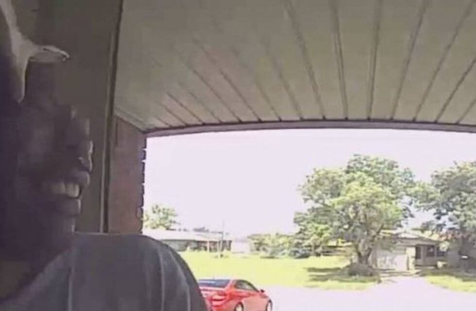 Video: el terrible momento en que una serpiente ataca a un hombre en la cara