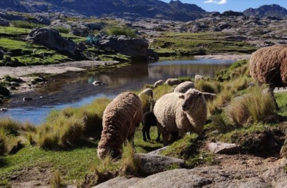 Villa General Belgrano: un destino excepcional al sur de Córdoba