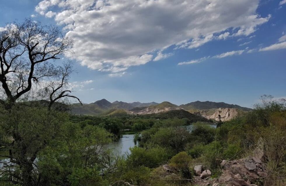 En 10 años, el bosque serrano perdió el 24% de las especies que lo habitan