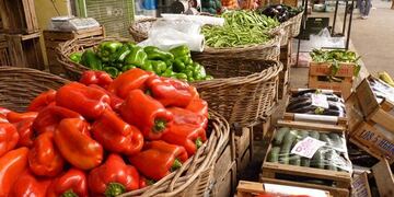 Pimientos (Foto ilustrativa\u002E Web)