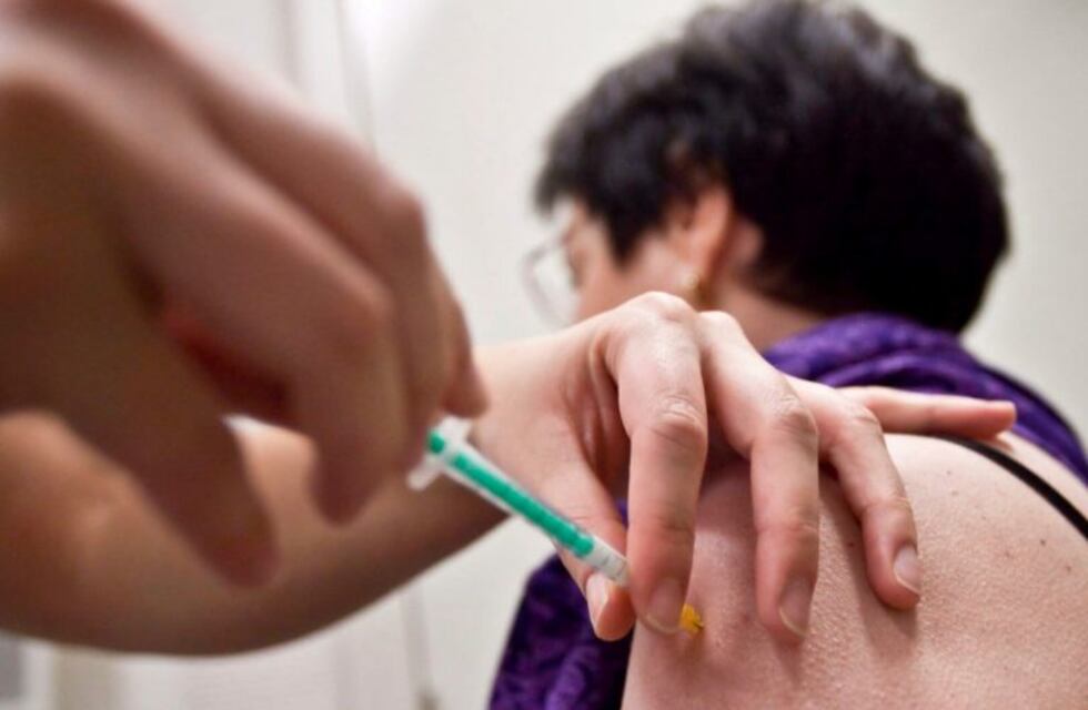 Dos turistas con gripe A en Ushuaia están fuera de peligro