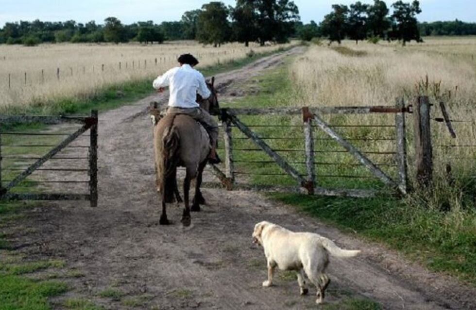 Más de 9.000 trabajadores rurales se sumaron al Renatre en Corrientes