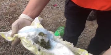 Una mujer intentó ingresar a la cancha de Laferrere con droga en el pañal de su bebé (Foto: captura video)