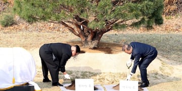 Kim y Moon plantaron juntos un árbol: \