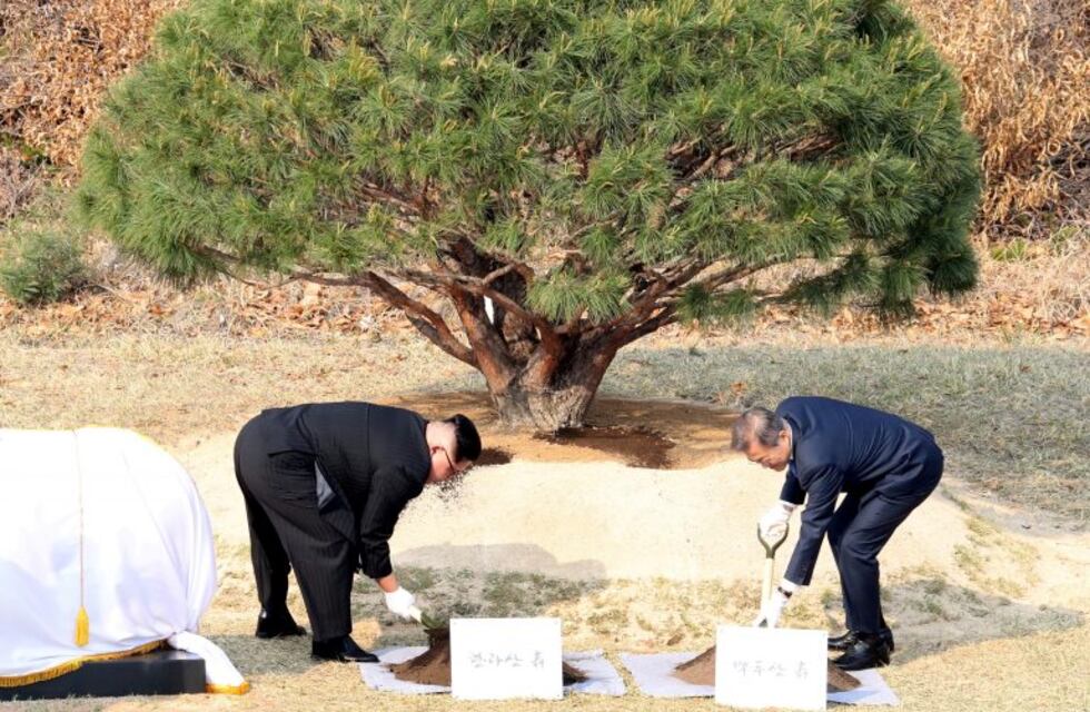 Kim y Moon plantaron juntos un árbol: "Estamos plantando paz y prosperidad"