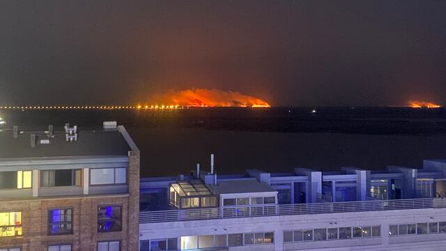 Incendios en las islas del delta del Paraná frente a Rosario.