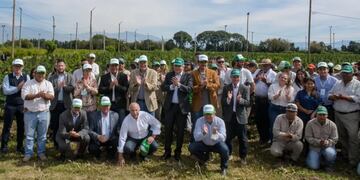 La empresa estatal jujeña Cannava inició una cosecha de cannabis medicinal de 35 hectáreas de producción pública, la "más importante de Latinoamérica", se informó.