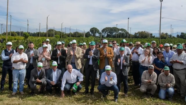 La empresa estatal jujeña Cannava inició una cosecha de cannabis medicinal de 35 hectáreas de producción pública, la "más importante de Latinoamérica", se informó.