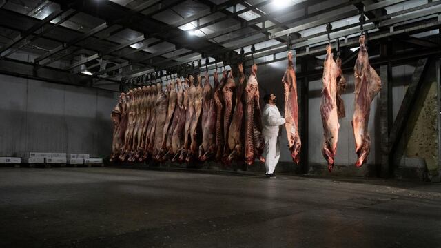 Mendoza 25 de mayo de 2021 Frigorífico y Carnicería Micheli
Prohibición de exportar carne por 30 días 
Marcos Ambrosio preparando las medias reses en la camara de frio
El gobierno nacional tomo esta medida para bajar el precio de la carne para consumo interno, esta medida llevo a que productores agrícolas realizaran un cese de comercialización de ganado y comience a faltar carne.
 
Foto: Ignacio Blanco / Los Andes