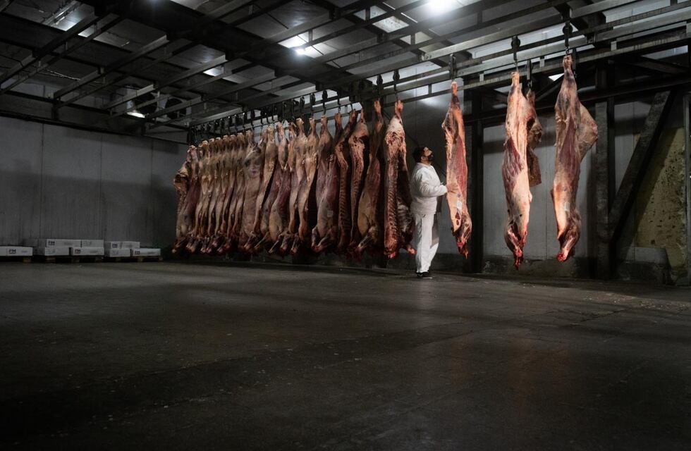 Por las medidas del Plan Ganadero, Argentina perderá 100 millones de dólares por mes