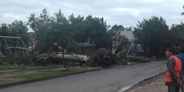 Temporal en Corrientes\u002E (Foto: Radio Dos)