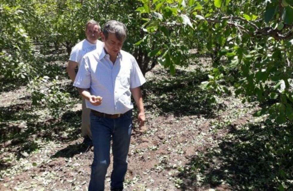 Planes para sostener el empleo ante la crisis del agro