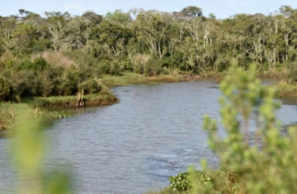 A partir de ahora Yacyretá administrará la reserva natural Urutaú