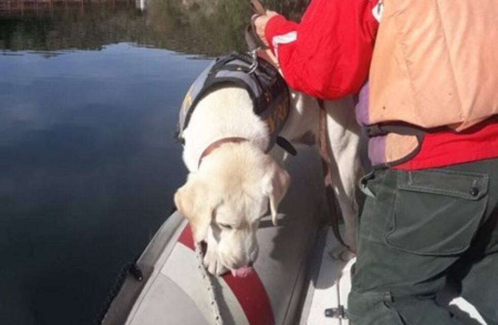 Una perra rastreadora fue quien halló un cuerpo en el lago Potrero de los Funes