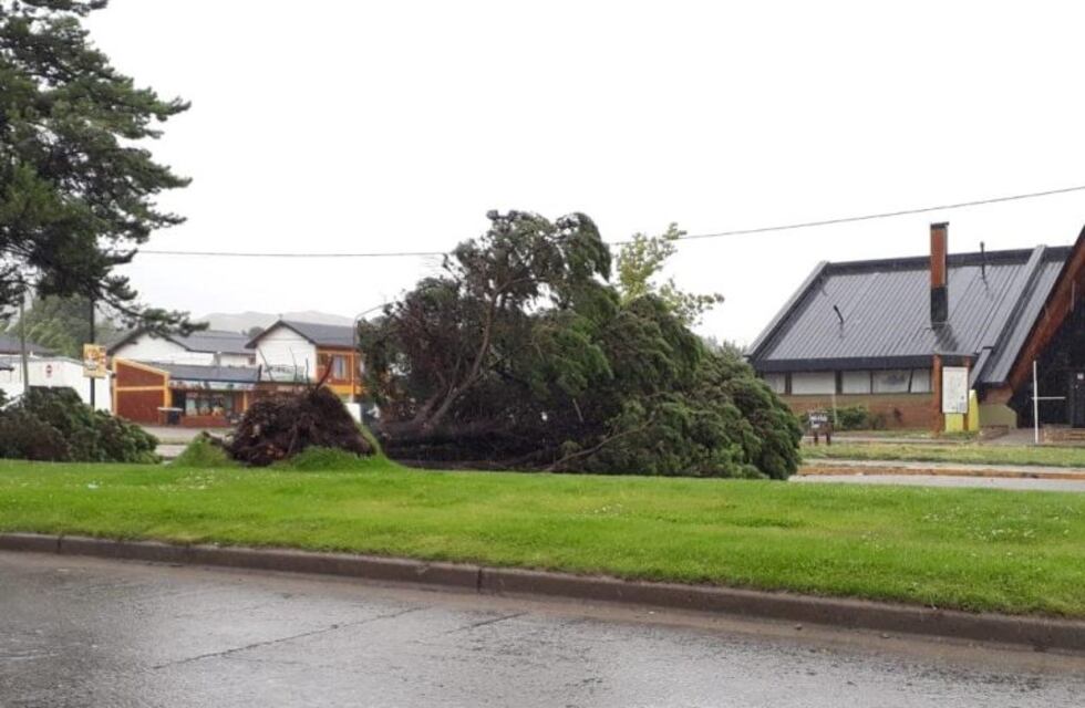 Un fuerte vendaval hizo destrozos en Esquel
