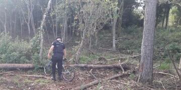 La bicicleta estaba en una zona de monte\u002E