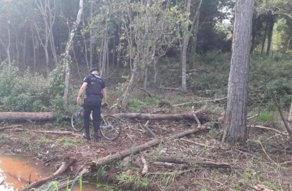 Detienen a un hombre en pleno robo y recuperaron una bicicleta