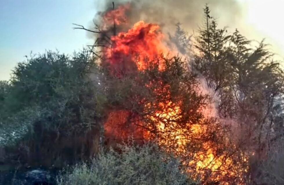 Bomberos combaten un incendio forestal camino a las Altas Cumbres