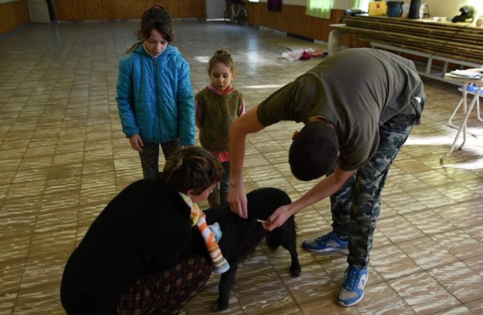 Vuelven las castraciones masivas y el Quirófano móvil