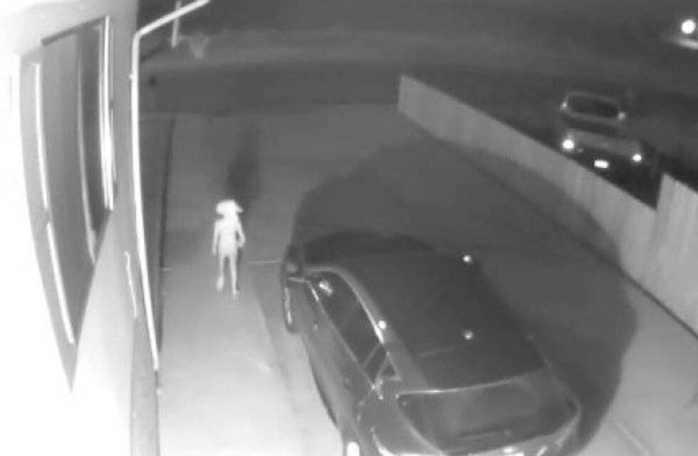 Filman a una extraña criatura parecida a Dobby, el elfo de Harry Potter