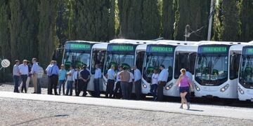 Diez nuevos colectivos de última generación comenzarán a circular por Neuquén (Foto: LM Neuquén)