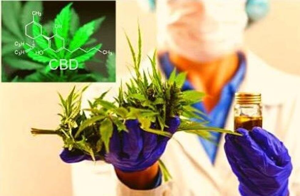 La Facultad de Bromatología realizará una Jornada Científica sobre Cannabis Medicinal