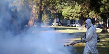 Intensifican operativos contra el dengue en barrios platenses (Municipalidad de La Plata)