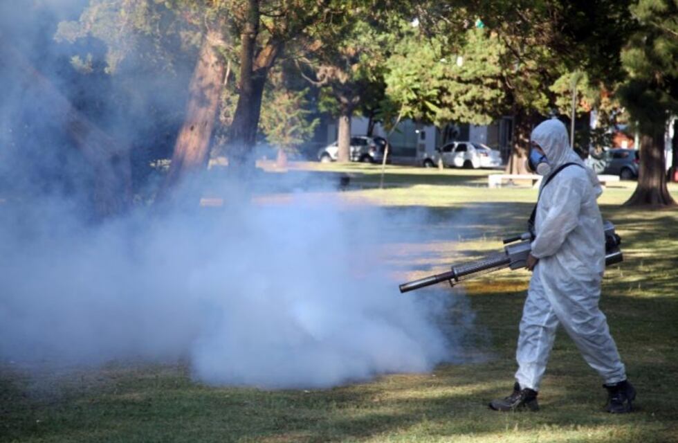 Intensifican operativos contra el dengue en barrios platenses