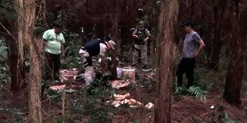 Decomisaron más de dos mil kilos de marihuana en un pinar de Puerto Libertad\u002E (Foto: Prefectura)