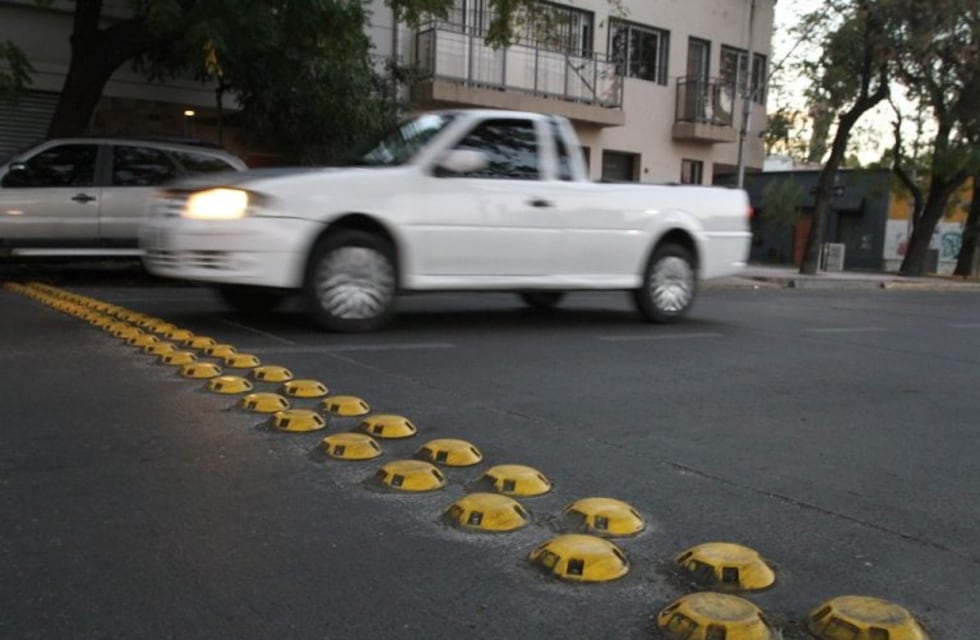 Se viene 'la revolución de las tortuguitas'