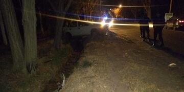 Mujer se estrelló contra un árbol y sufrió varias fracturas