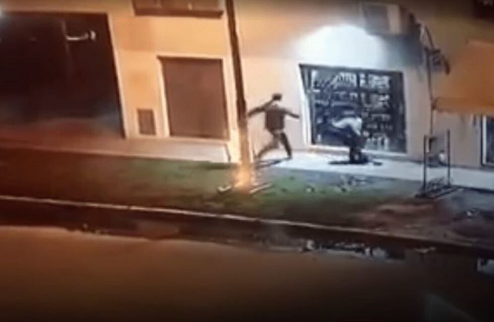 Video: destrozaron un kiosco para robar vino y fernet