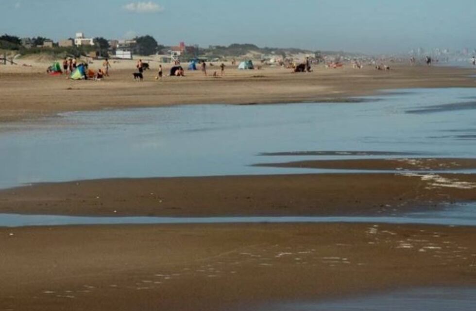 Un pescador cazó a un delfín, lo paseó en cuatriciclo por la playa y se lo comió
